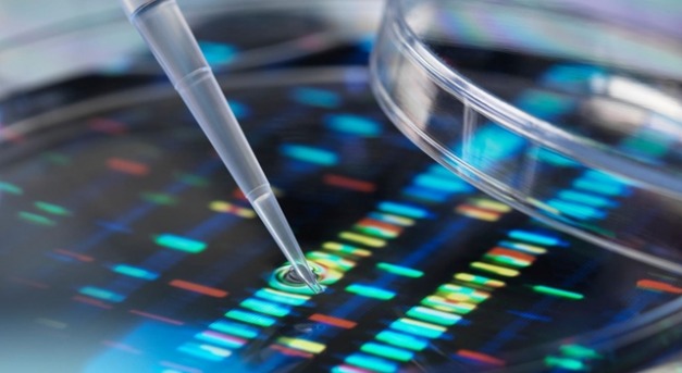 Egy új üzletág: DNS-tesztek és családfakutatás